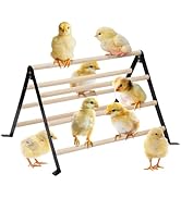 16.5" Lx13.4 Wx9.8 H Large Metal Stable Chick Perch - Wooden Baby Chicks Roosting Bars, Easy to A...