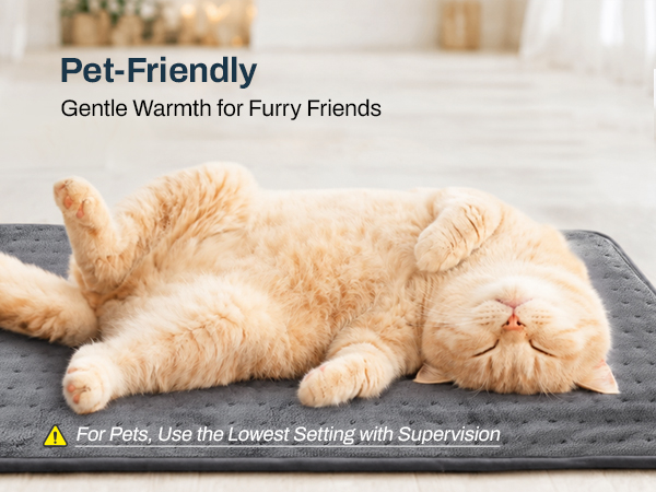 pet friendly