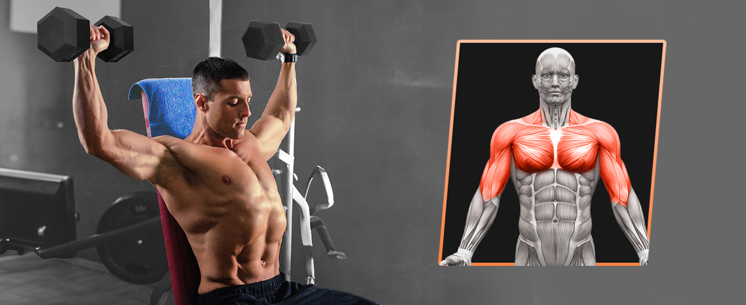 set chrome dumbbell hex