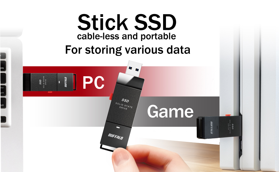 Buffalo SSD-PUT Stick