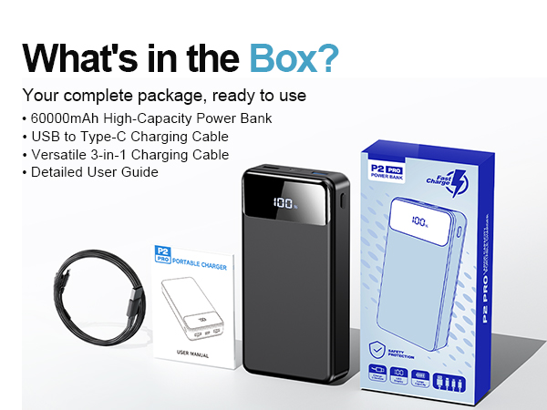 portable battery charger