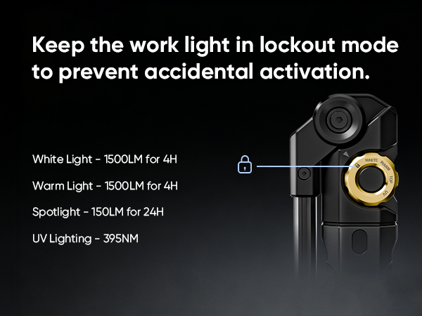 magnetic light