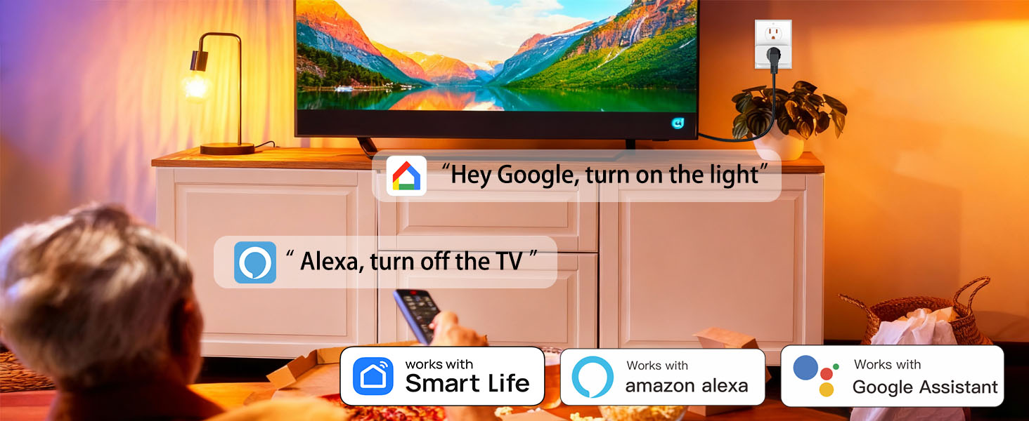 AiSeek Voice Control