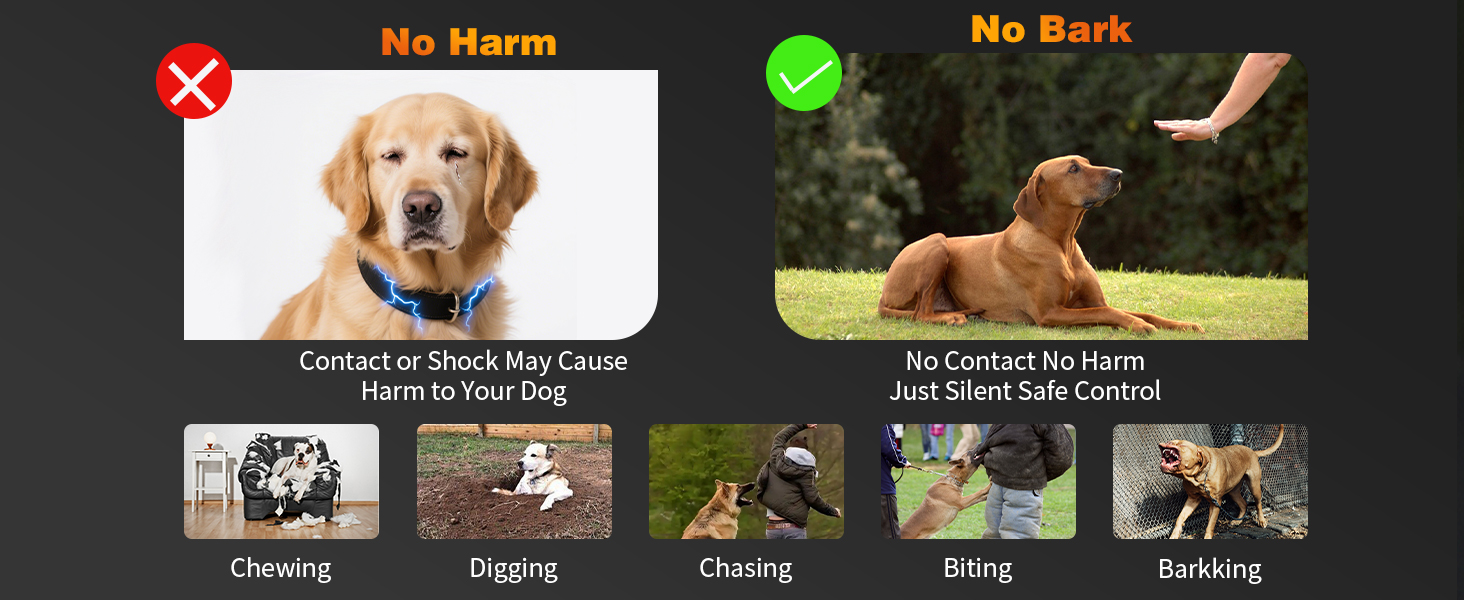 Dog Bark Deterrent Devices