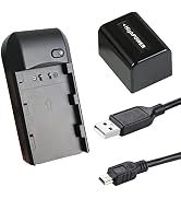 CofunKool NP-FV5 Plus 3.7V 2000mAh Rechargeable Camcorder Battery and Charger Kit