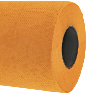 Fairly Odd Novelties Blaze Orange Novelty Toilet Paper