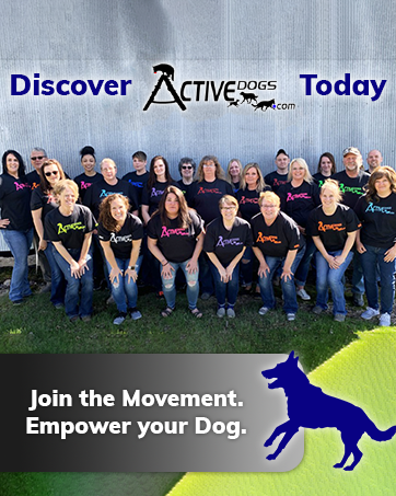 empower your dog