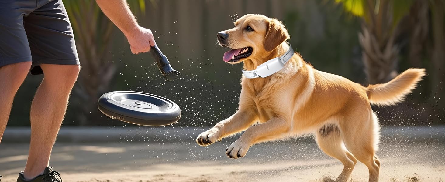 Dog Shock Collar