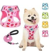BEAUTYZOO Step in Dog Harness and Leash Set,Reflective Dog Harness No Pull No Choke Puppy Harness...