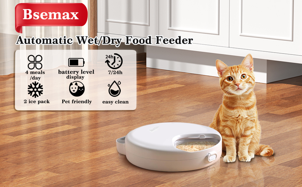 auto cat feeder wet food