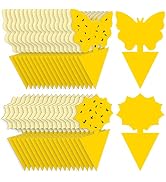 72PCS Fruit Fly Sticky Traps Fungus Gnat Traps Insect Trap for Plants Kitchen Indoor Outdoor Whit...