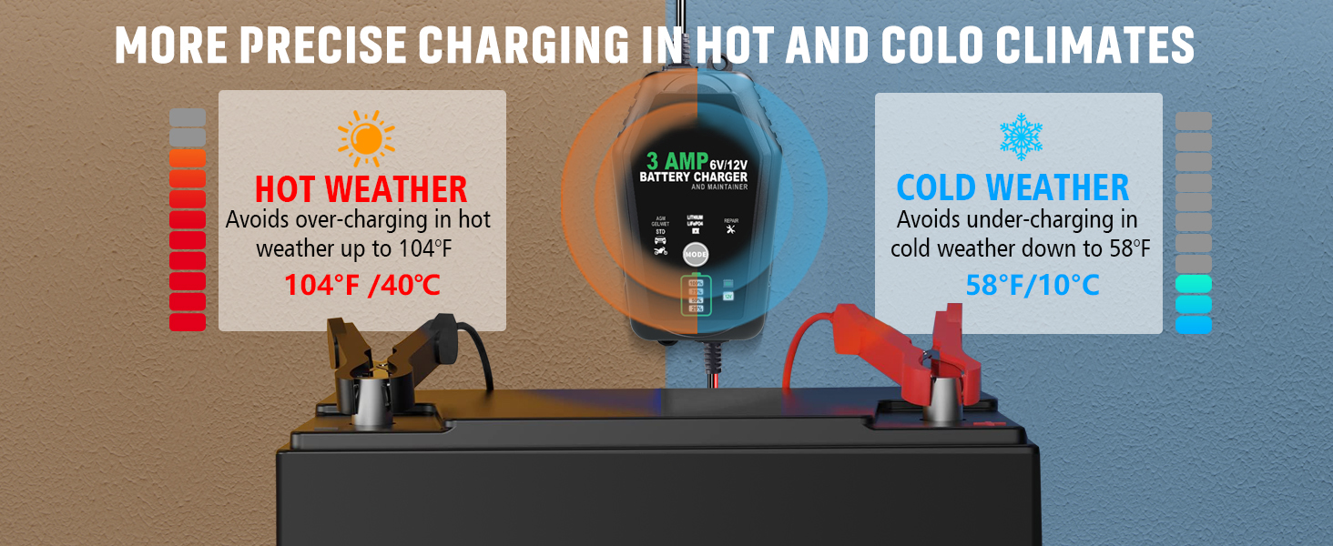 6v battery charger