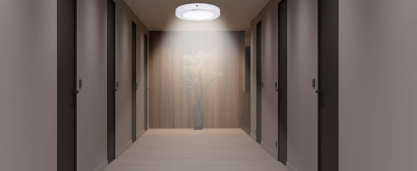 Brighten Up Hallway