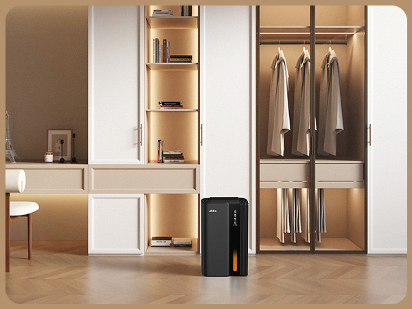 bathroom dehumidifier