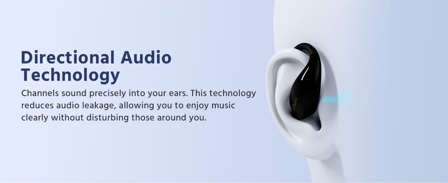 Directional Audio Technology