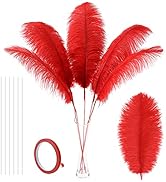 Soarer Red Ostrich Feathers for Vase - 10Pcs Making Kit 34inch Extra Large Ostrich Feathers Long ...