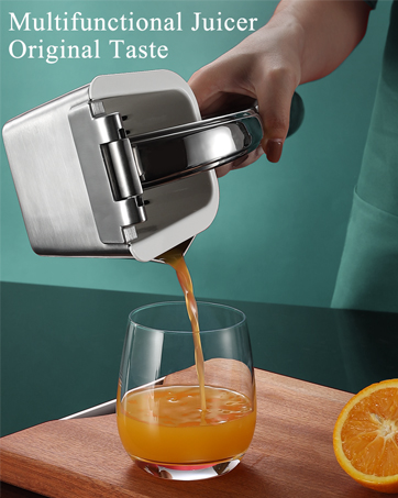 fruit juicer