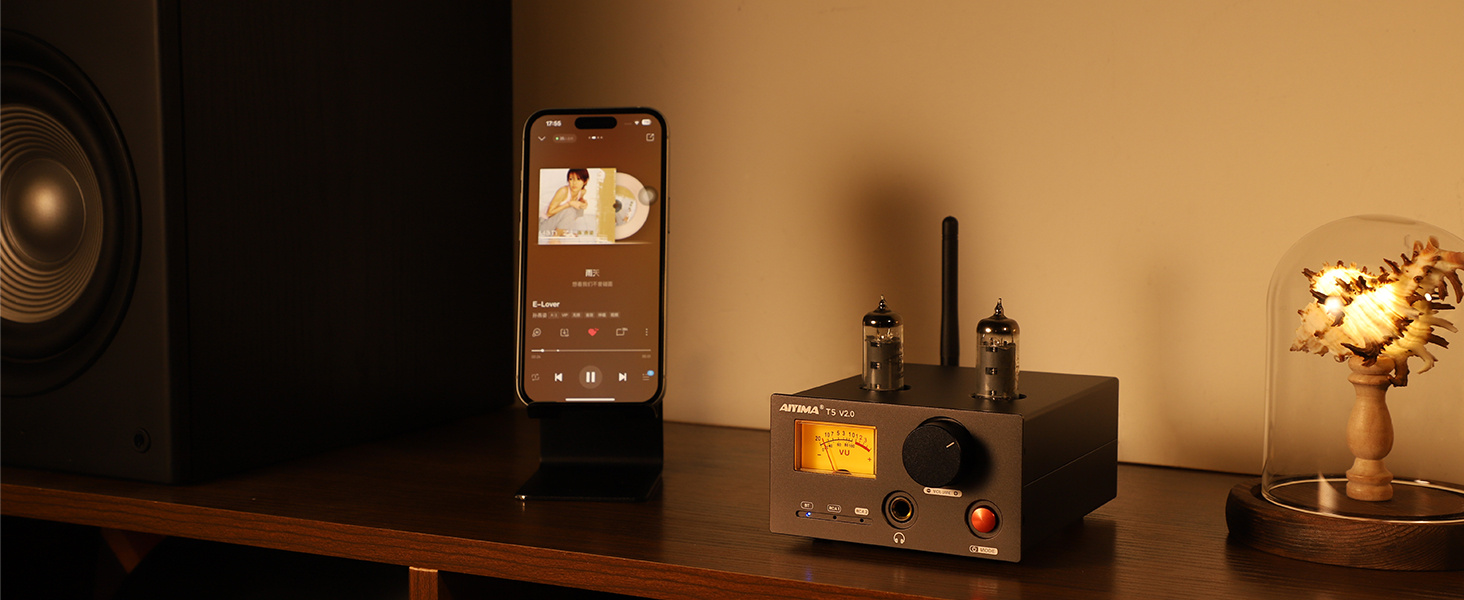 AIYIMA Audio amplifier