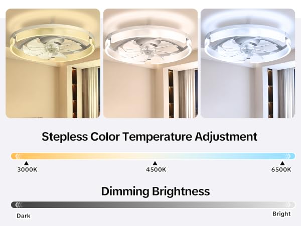 ceiling light with fan