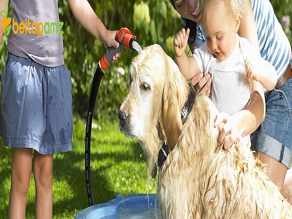 garden hose 100ft
