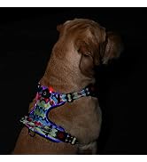 LED Light Up Dog Harness: USB Rechargeable Glowing Waterproof Reflective No Pull Adjustable Oxfor...