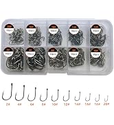 AMHDV 300Pcs/ 500Pcs/ 1000Pcs Small Fishing Hooks, 10 Different Sizes Tiny Fish Hook Set for Fres...