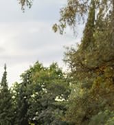 Overmont 400L Foldable Double Decker Wagon - Large Capacity Collapsible Wagon Cart- 52" Extra Lon...