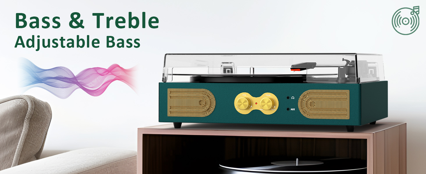 vinyl record player