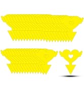 36PCS Fruit Fly Sticky Traps Fungus Gnat Traps Insect Trap for Plants Kitchen Indoor Outdoor Whit...