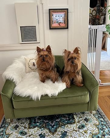 yorkie dogs sitting on green washable pee pad for dogs by pupiboo