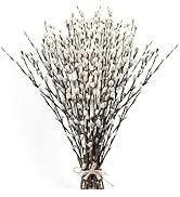60 Stems 17