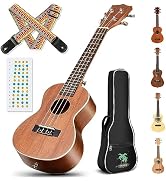 CAHAYA Concert Ukulele Kit Beginner Starter 23 Inch with Gig Bag, Rainbow Strap, Fretboard Sticke...