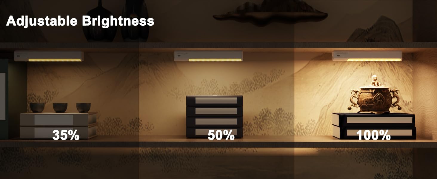 Adjustable Brightness