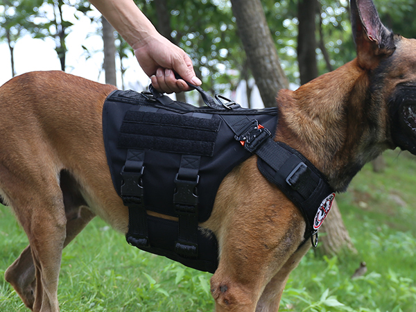 dog harness handle