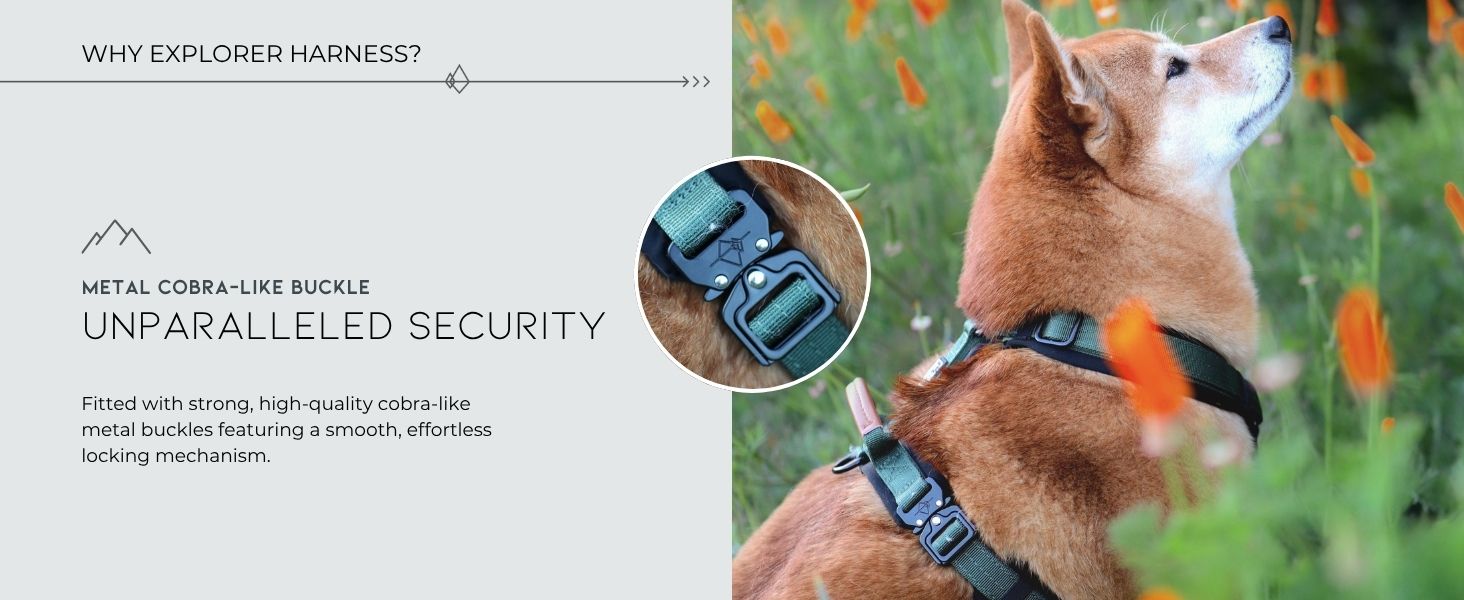 Metal cobra-like buckle: Unparalleled Security