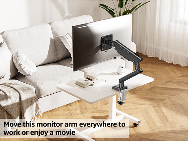 vesa monitor mount