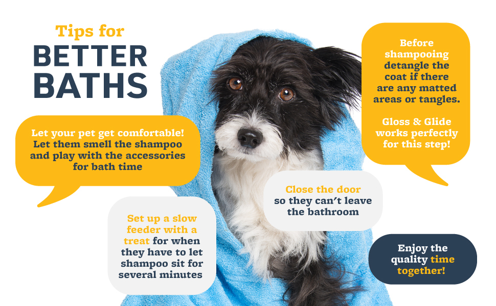 A+ Tips Better Bath Banner Puppy Love Shampoo