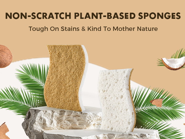 coconut sponge