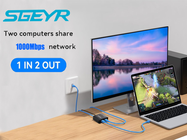 Either Network Splitter Gigabit Dual LAN RJ45 Port