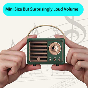 Mini Size But Surprisingly Loud Volume 