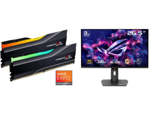 G.SKILL Desktop Memory + ASUS ROG Gaming Monitor
