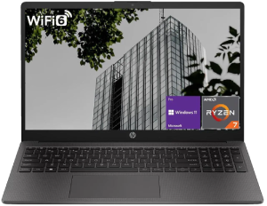 HP 255 G10 Professional Business Laptop
