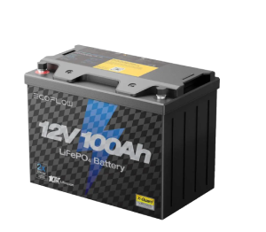 EcoFlow 12V LiFePO4 Battery