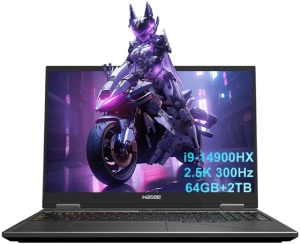 Hasee T8Pro Gaming Laptop