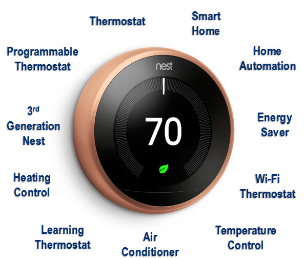 Nest-SEO-Article