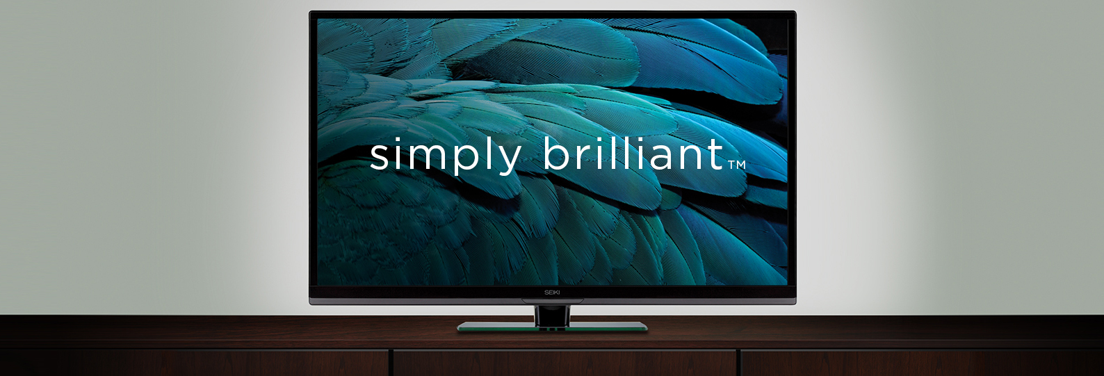 Learn how Seiki built brand awareness with Newegg’s 36M customers