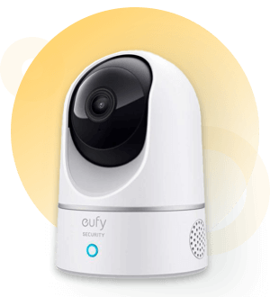 Security Cameras and Systems